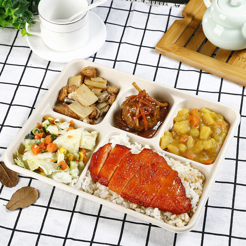 Бумажная тарелка волокна сахарного тростника багассы Compostable с рассекателями
