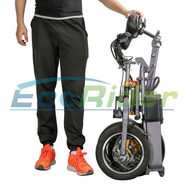 New Design Foldable Electric Scooter Three Wheels 48V 250W Folding Electric Bike