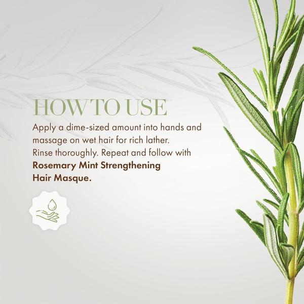 Purify Clarifying Rosemary Mint Shampoo Infused For Weak Brittle Hair OEM