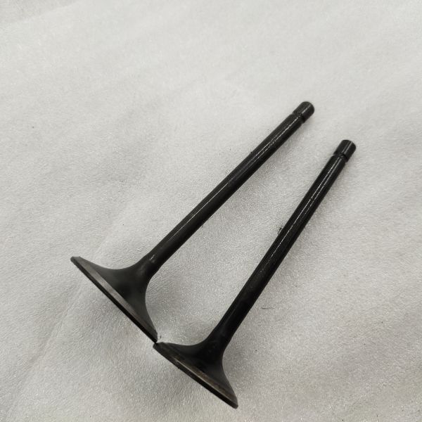 DAYANG moto à trois roues tricycle moteur en fer noir soupape de forgeage avec des matériaux