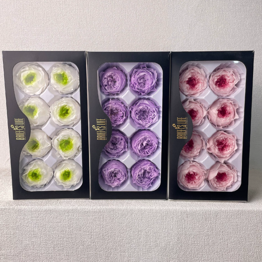 Eternal Rose Austin 8 pièces, cadeau haut de gamme matériaux de bricolage, fleurs séchées en gros, bulles de chocolat