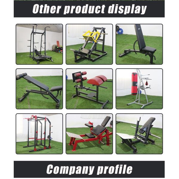 Коммерческий ABS Gym Fitness Bench Press с унисекс дизайном и регулируемой высотой