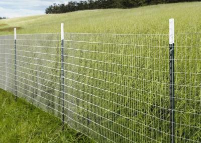 Fruit Shop painted Security V Mesh Fencing Display Fence