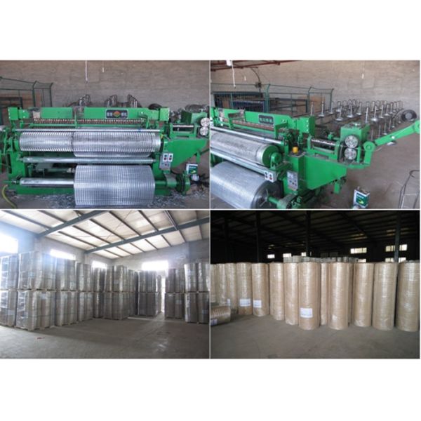 Штукатурить стены сетки ПВК дюйма 1/2 покрытый пластмассой гальванизированный покрытый цинком