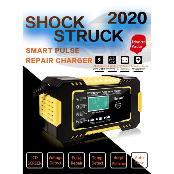 Portable Intelligent Pulse Repair Battery Charger 6A 12V