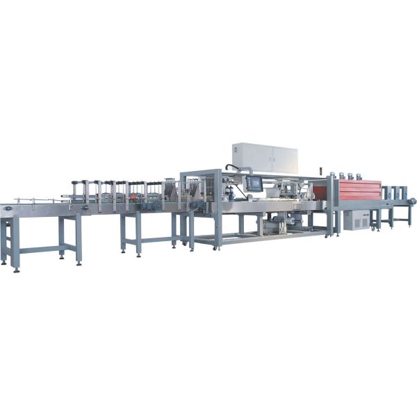 Машина упаковки бутылки минеральной воды нержавеющей стали 380v