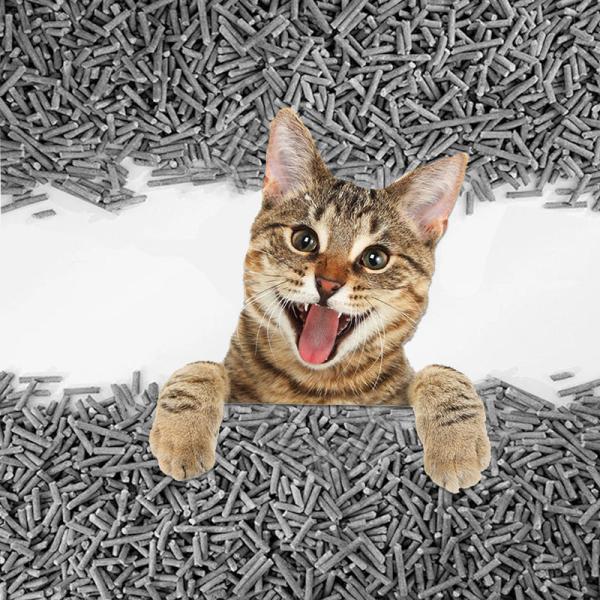 Starhong Litter de chat au carbone actif 1,5 mm exempt de poussière