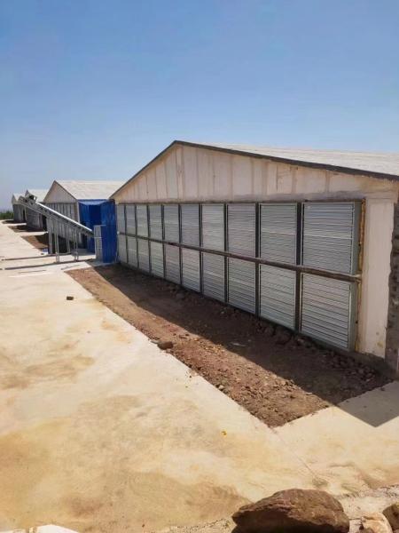 Big Airflow Negative Pressure Drop Heavy Hammer Exhaust Fan for Greenhouse Poultry Farm Air Cooling System