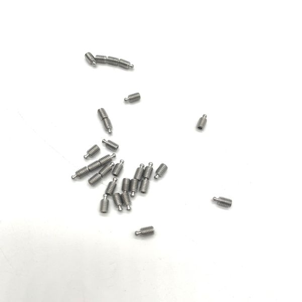 304 Stainless Steel Screws M2 ANSI Standard Electrolytic Polishing