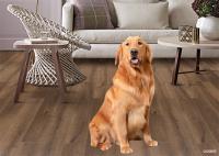 Le plancher imperméable et ignifuge du plancher WFR, a également appelé le plancher de MgO