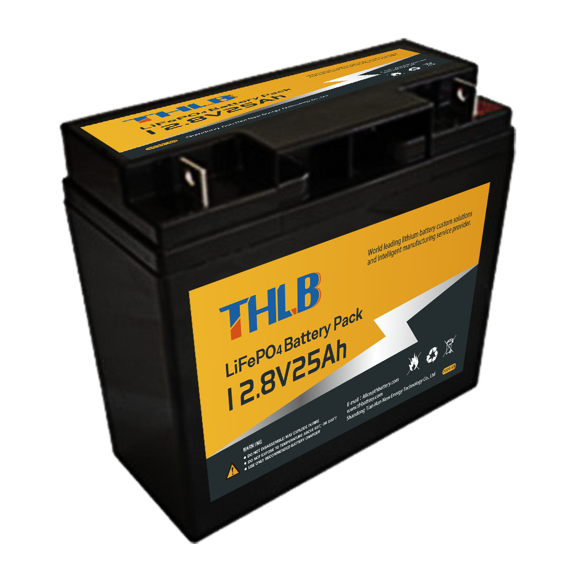 Customizable Lead Acid Replacement Battery Rechargeable Lithium Ion Battery Pack