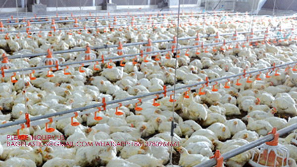 Metal Poultry Ventilation System, Wall Exhaust Fans With Louvers , 24 Inch Exhaust Fan With Shutters