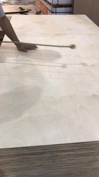 Birch Faced Plywood Glue Acacia Wood Core 16mm 18mm