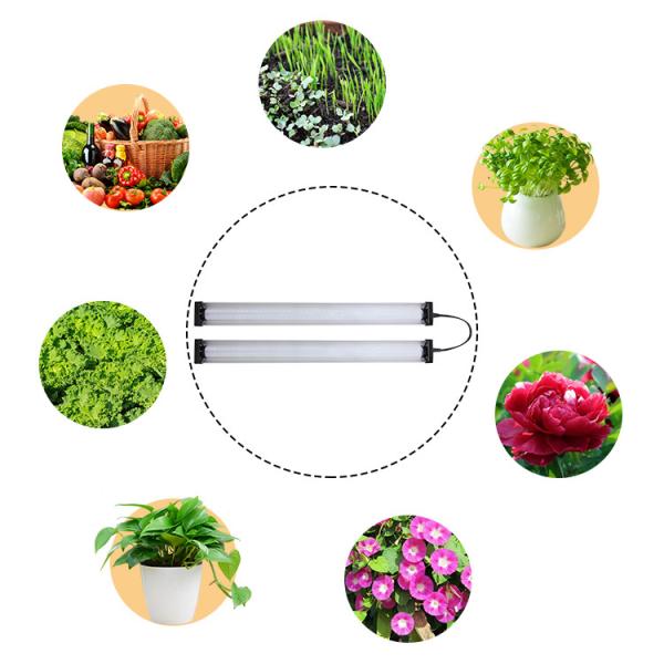 50000hrs Waterproof LED Grow Light