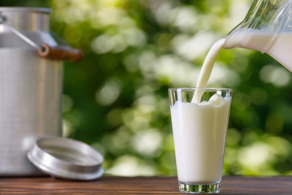 Food Additive DMG95 Emulsifiers And Stabilizers Prevent Possible Stratification In Milk