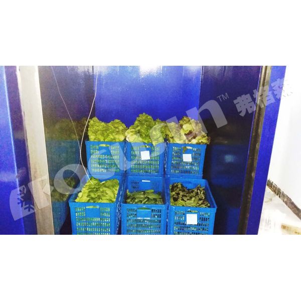 Промышленный вакуумный охладитель для овощей и фруктов с обеспеченным видеопросмотром