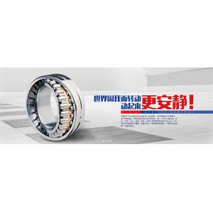 DALIAN MOTION ENGINEERING CO.,LTD.