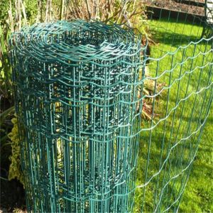 Europe Standard 50x50mm Galvanized+PVC Coated Corrosion Resistant Euro Wire Mesh Fence