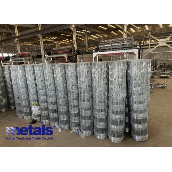 High Zinc Coatting Hot Dipped Galvanized Farm and Animal Fence