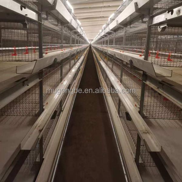 High Quality H Type Broiler Chicken Cage for Poultry Farming