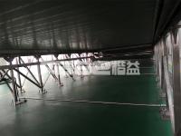Large Capacity Continuous Conveyor Dryer Vegetable Dryer Machine For Asparaaus Funaus Artichokes Kale