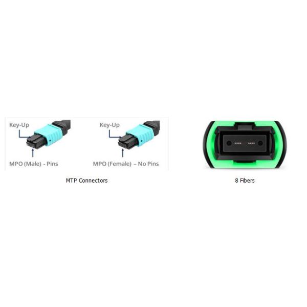 8F MTP OM3 Fiber Optic MTP-LC 2.0mm Straight Harness Cable for High-Density Data Center Applications