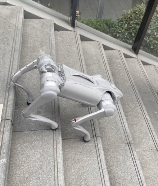 Meet Your Perfect Companion Voice AI Large Model Robot Dog Compatible with Android and iOS
