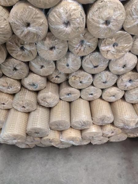 Pvc Coated Chicken Coop Square Hole Farm Fence 1/2 Inch 3/4 Inch Welded Wire Mesh Rolls