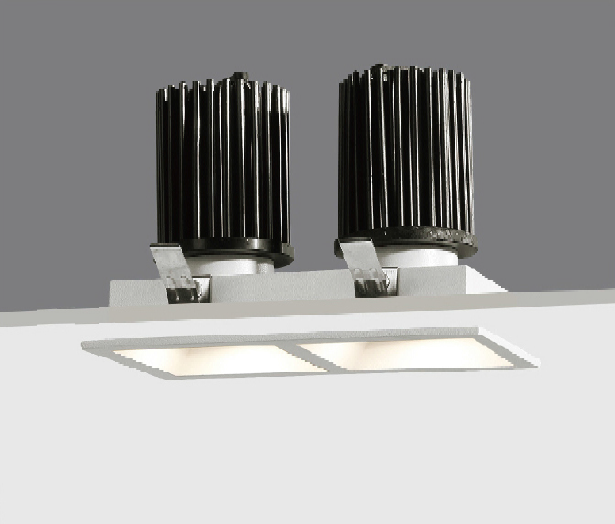 Vellnice Double Heads Adjustable 2*15W Square Recessed Lighting R3B0621