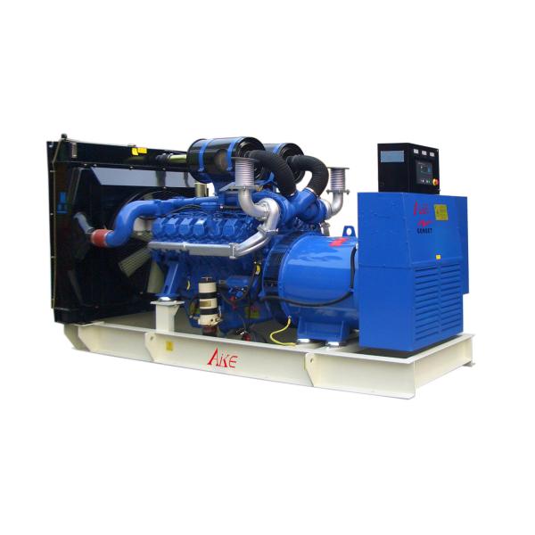 1000kVA Perkins Diesel Generator Set 50HZ 60HZ Electricity Generation