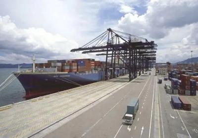 NVOCC Ocean Freight Forwarder Sea Freight From China To Dubai
