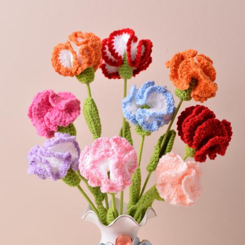 Mother's Day Gift Handmade Bouquet with Finished Crochet Carnation Artificial Flowers Multiple Color 20x5cm