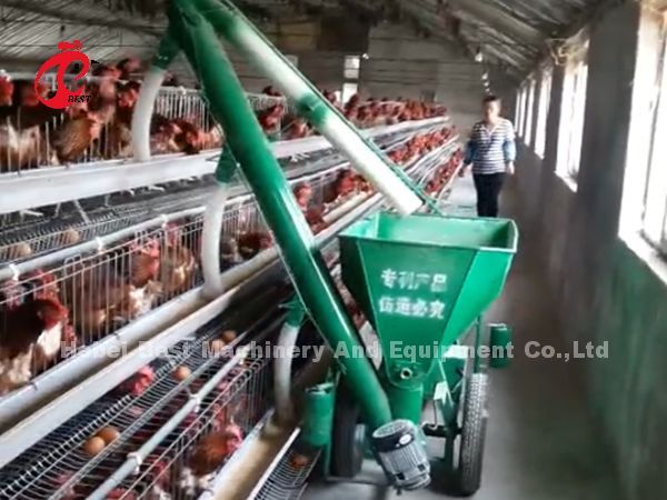 Клетка птицы Semi автоматических птиц клетки 15000 слоя птицы ручная в радужке Нигерии