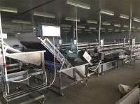 Máquina de limpeza de bolhas totalmente automática de camarão Máquina de limpeza de vegetais e frutas industrializados de alta eficiência