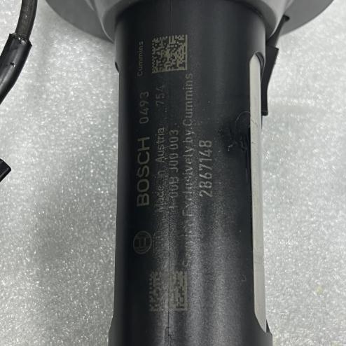 2867149 Remanufactur Fuel Injector For QSK19 Diesel Engine