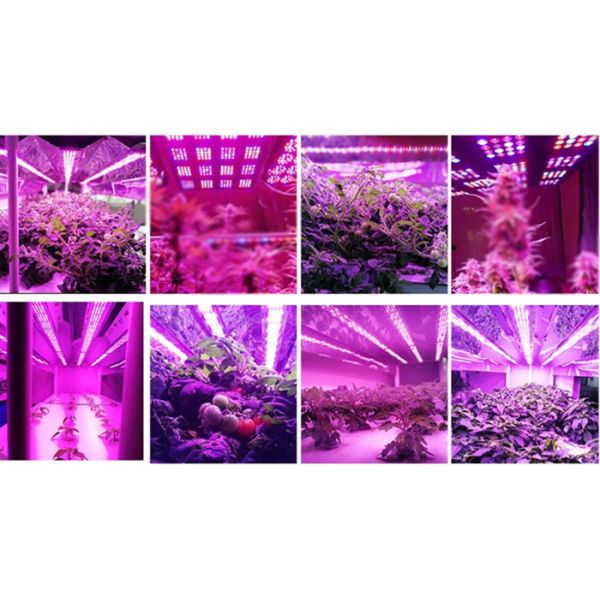 Lâmpadas de crescimento LED de design dobrado Espectro vermelho-azul para plantas de interior de estufa Promover o crescimento das plantas
