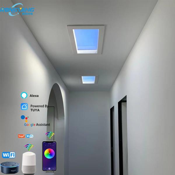 CCT 2700K-6500K Plafond de lucarne LED artificiel 50W 110VDC Durable