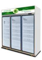 Refrigerador mais frio do armazenamento da baixa bebida de vidro da loja de E para bebidas