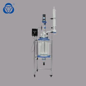 10L to 100L Borosilicate Glass 3.3 Vacuum Hydrolysis Reactor with 1 Year Warranty and 220V Motor Power