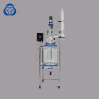 bioréacteur en verre de réacteur d'hydrolyse de vide de 10L 30L 50L 100L garantie de 1 an