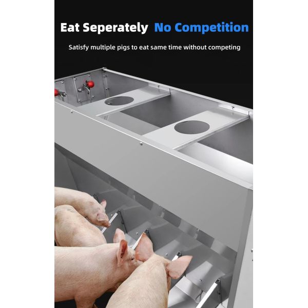 Weaning Pig Livestock Feeding Equipment Stainless Steel Hog Feeders