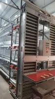 Cage de poulet à chaud galvanisée machine de poule ferme maison de poules cage d'animal