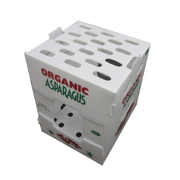 Lightweight and Durable PP Corrugated Plastic Packing Box for Packaging Need