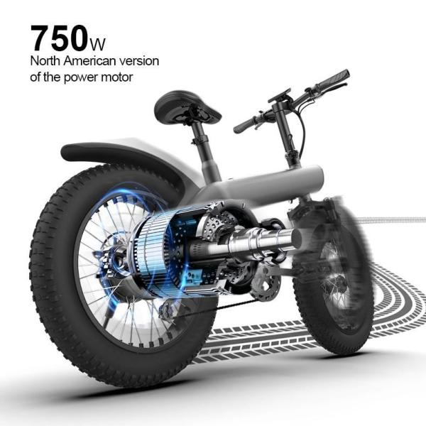 48V/750W Lithium Ion Battery Max Load 100kg for Motor Applications Q3 All-terrain