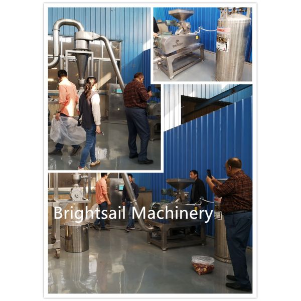 Индустрия пшеничной муки риса машины мельницы Пин порошка зерна филируя с КЭ