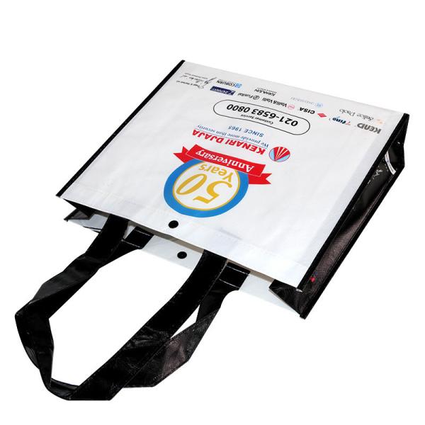 PP Custom Eco Handled Laminated Non Woven Packaging Bags