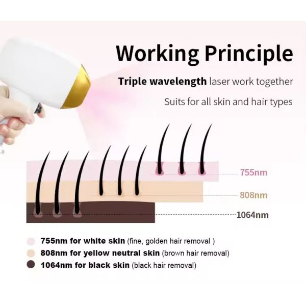 D31-3 Professional Ipl Hair Removal 808nm Diode Laser Carbon Peel Nd Yag Picosecond Laser With Measuring Rod