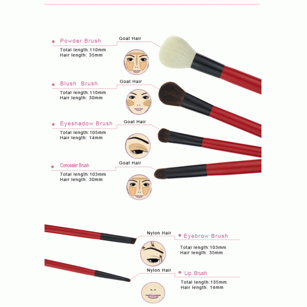 Mini Travel Makeup Brush Set With White Goat Hair And Red Handle