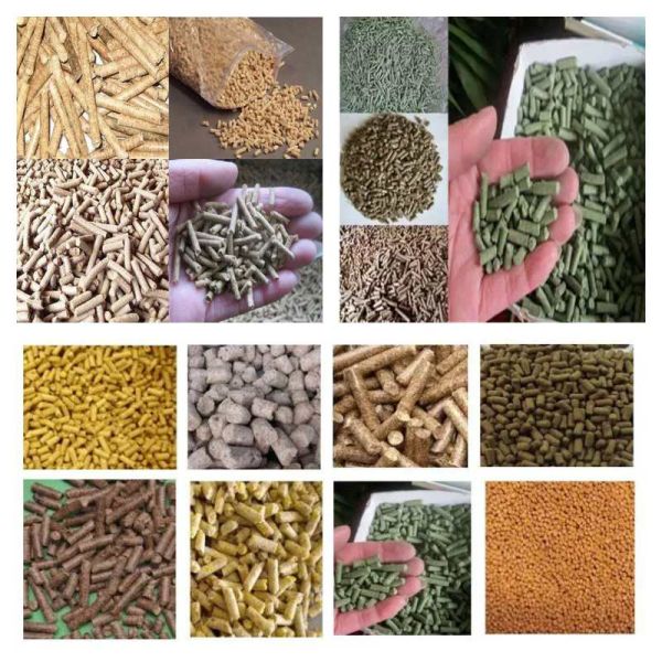 Linha de produção de pellets para alimentação animal de aves de capoeira