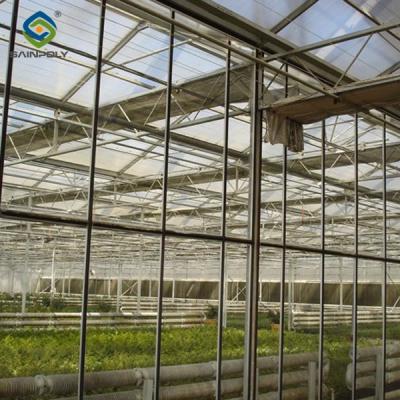Agricultural Glass Venlo Type Greenhouse Wind Resistance Professional Installation